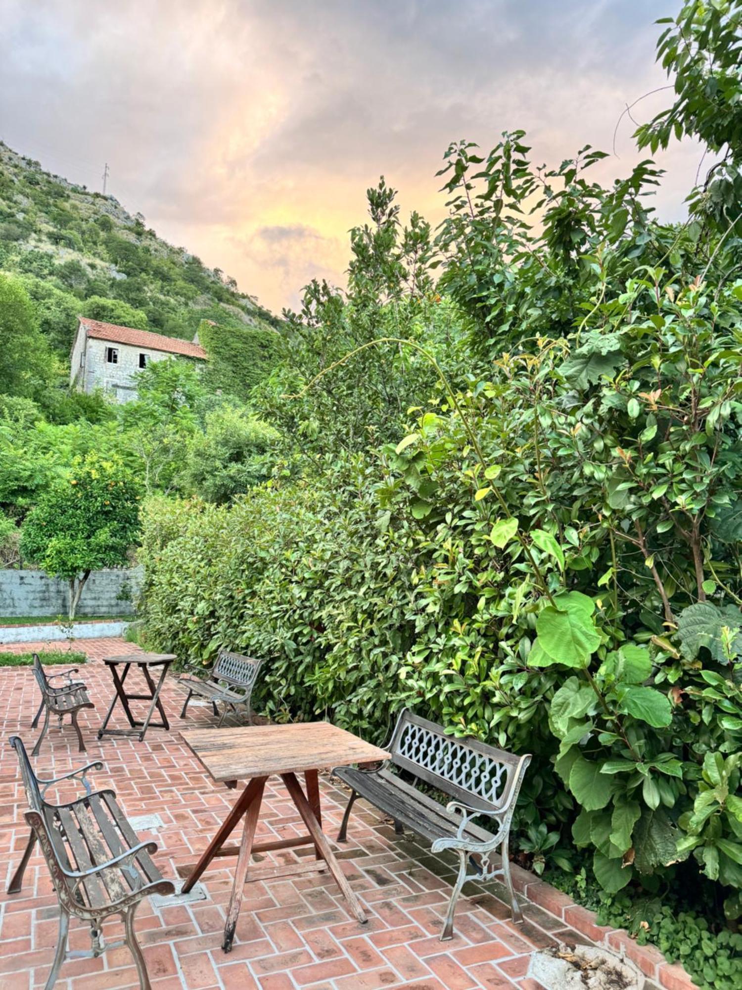 Carine Garden Appartement Risan Buitenkant foto