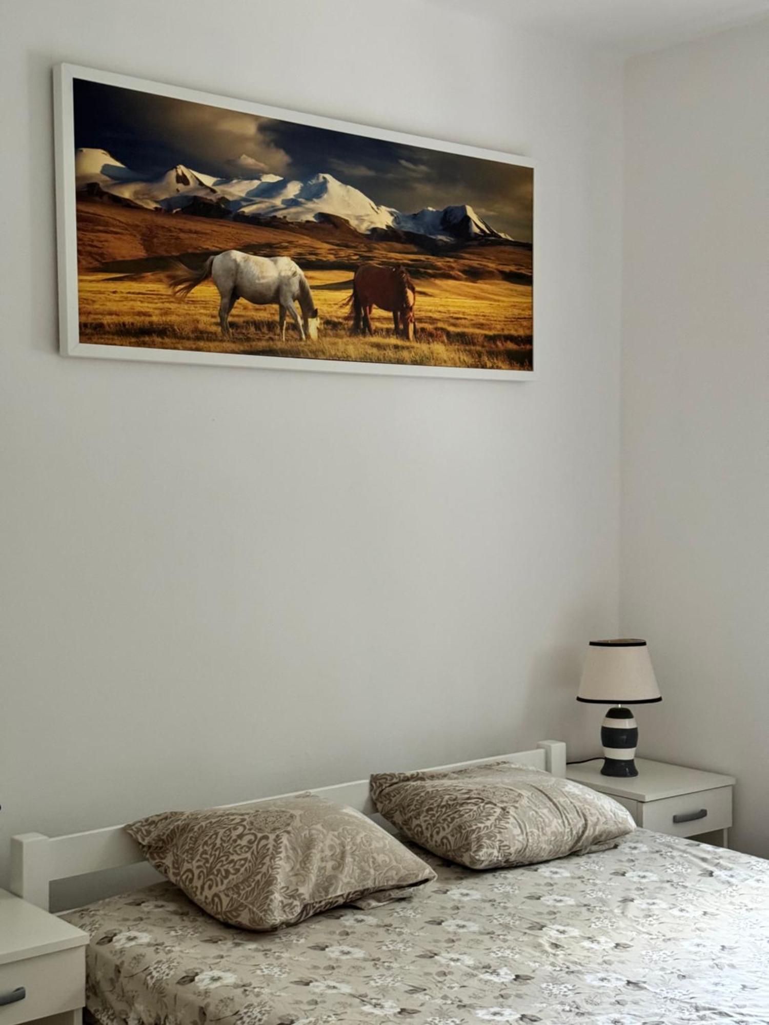 Carine Garden Appartement Risan Buitenkant foto